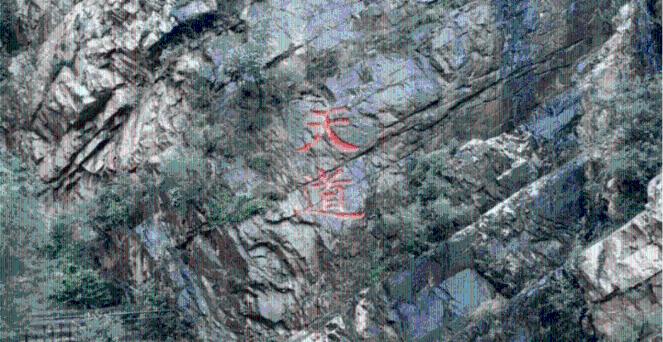 福建中专高考分数线游戏画面