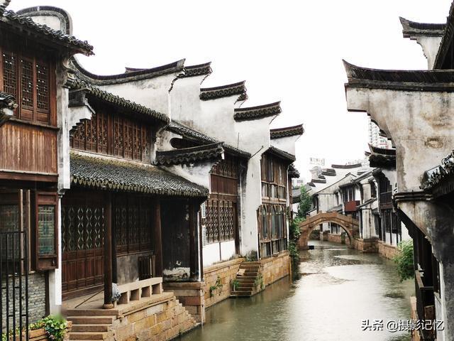 拯救树精灵